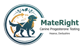 MateRight